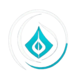 SALIENT CONSULTING
