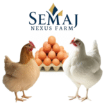 SEMAJ NEXUS FARM LTD